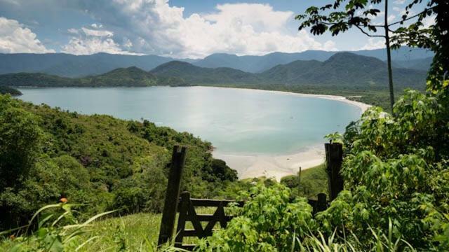 Chale De Bioconstrucao Em - Cambuca Surf Skate Brava